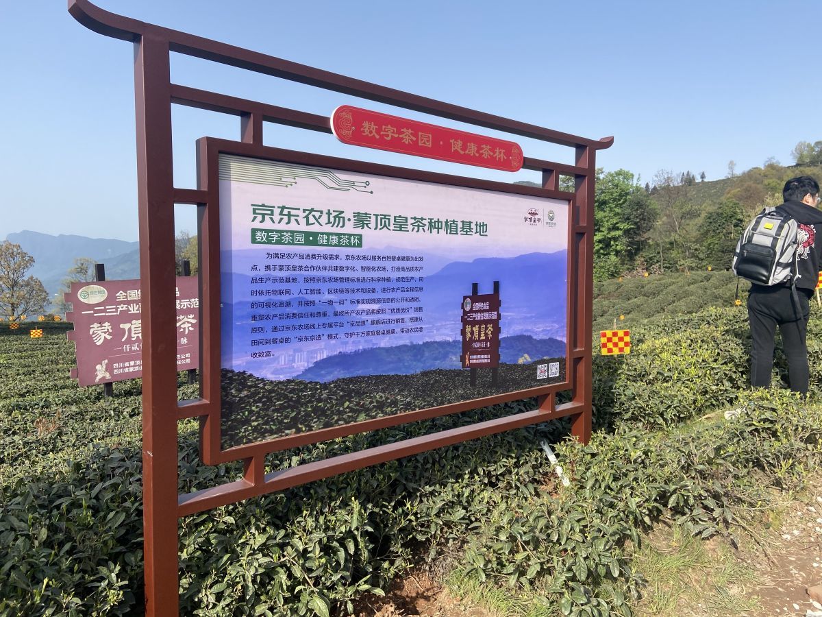 京东农场在川首个"数字化茶园"落户蒙顶山 - 川观新闻