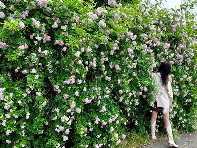 1619172566715039640.jpg-cgwapimg