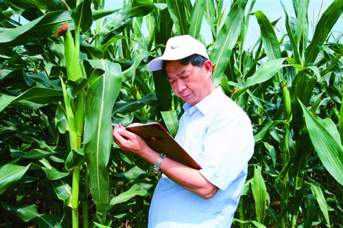 荣廷昭中国人饭碗里的粮要有属于自己的好品种