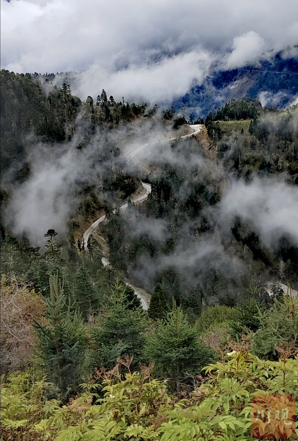 金秋十月，木里瓦厂镇赏秋正当时(图9)