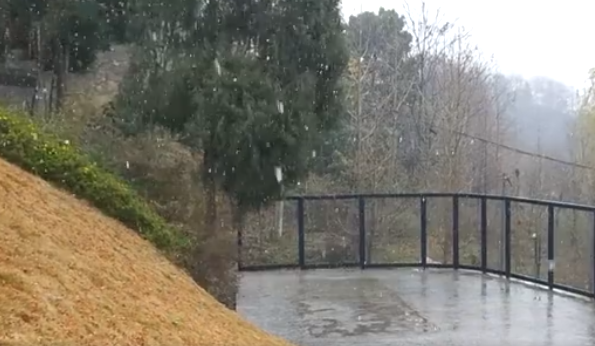 成都多地开始下雪，能看见雪花的那种！