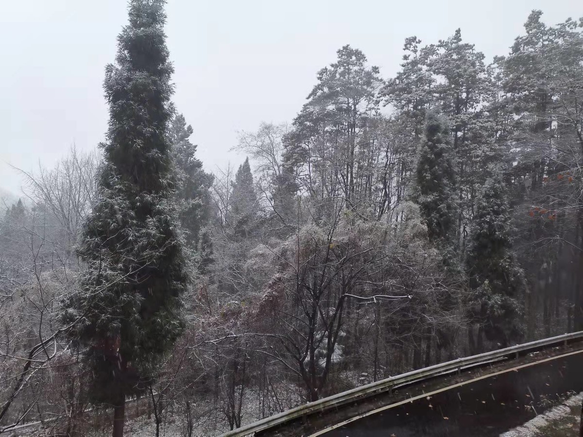 成都多地开始下雪，能看见雪花的那种！
