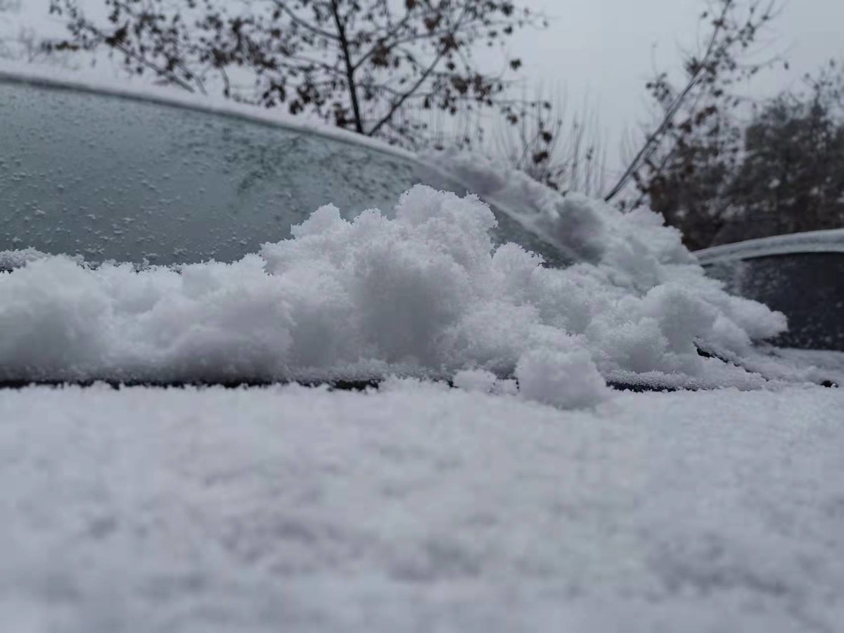 成都多地开始下雪，能看见雪花的那种！
