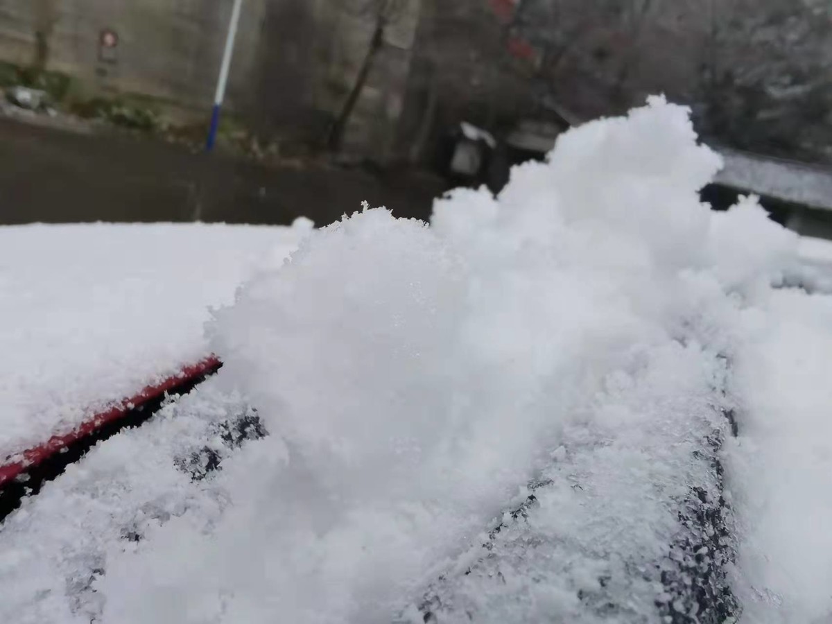 成都多地开始下雪，能看见雪花的那种！