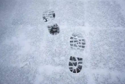 成都多地开始下雪，能看见雪花的那种！