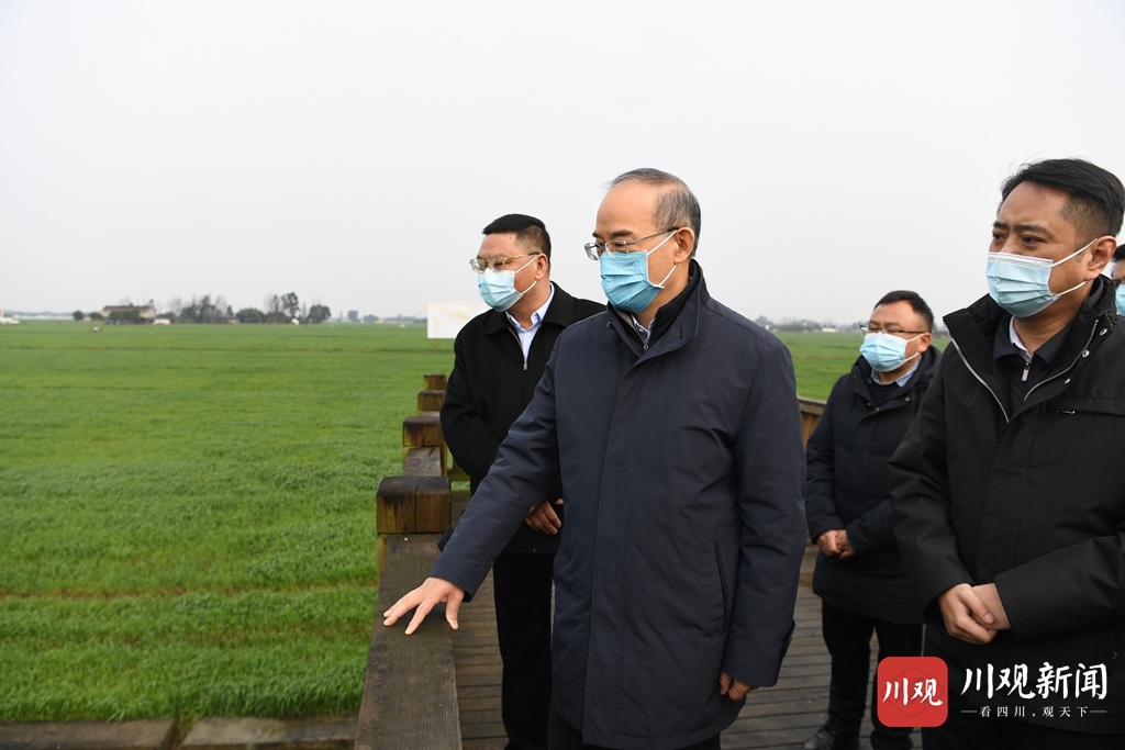 黄强省长在成都调研耕地保护和春耕生产工作时强调严守耕地红线抓牢