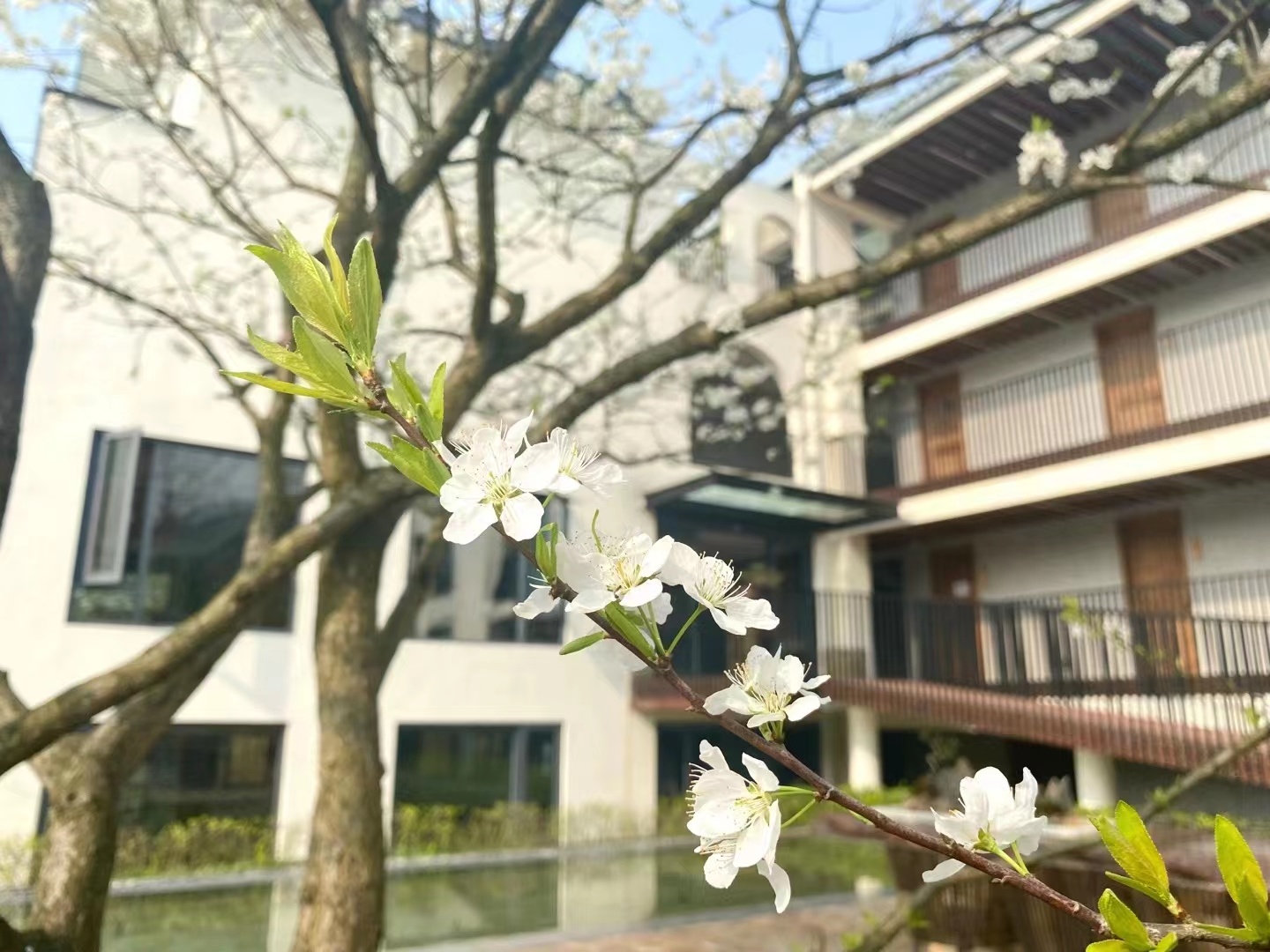 农家乐转型升级精品民宿宝山村“一跃”成名开云 开云体育官网天府旅游“新名片”②(图2)