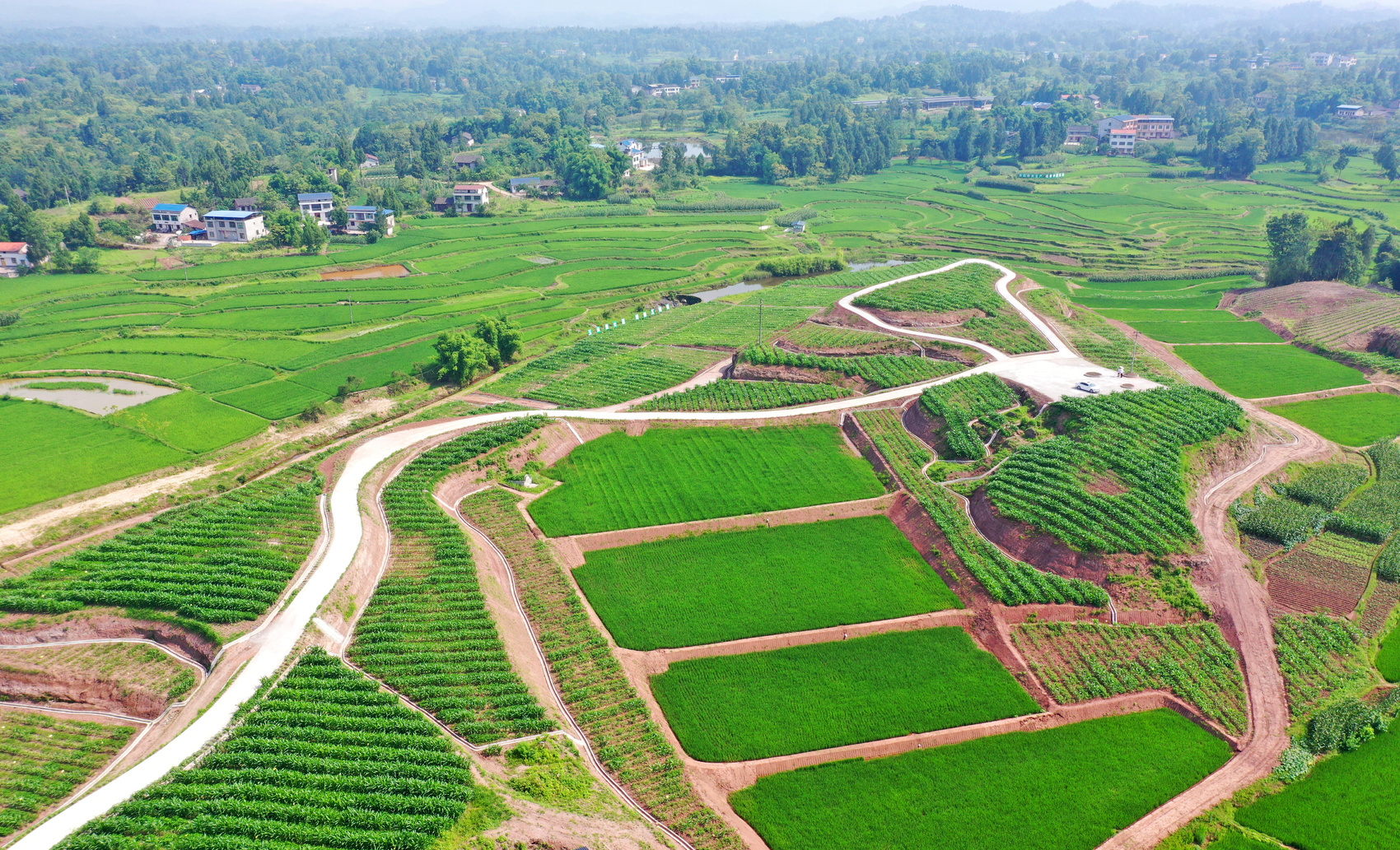 营山县小桥镇白岩村,昔日撂荒地焕发新生机.