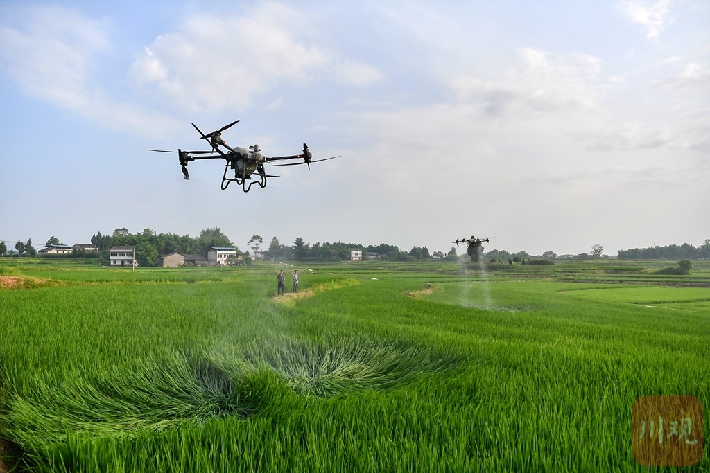 组图丨全国土地日看巴蜀大地农耕之美