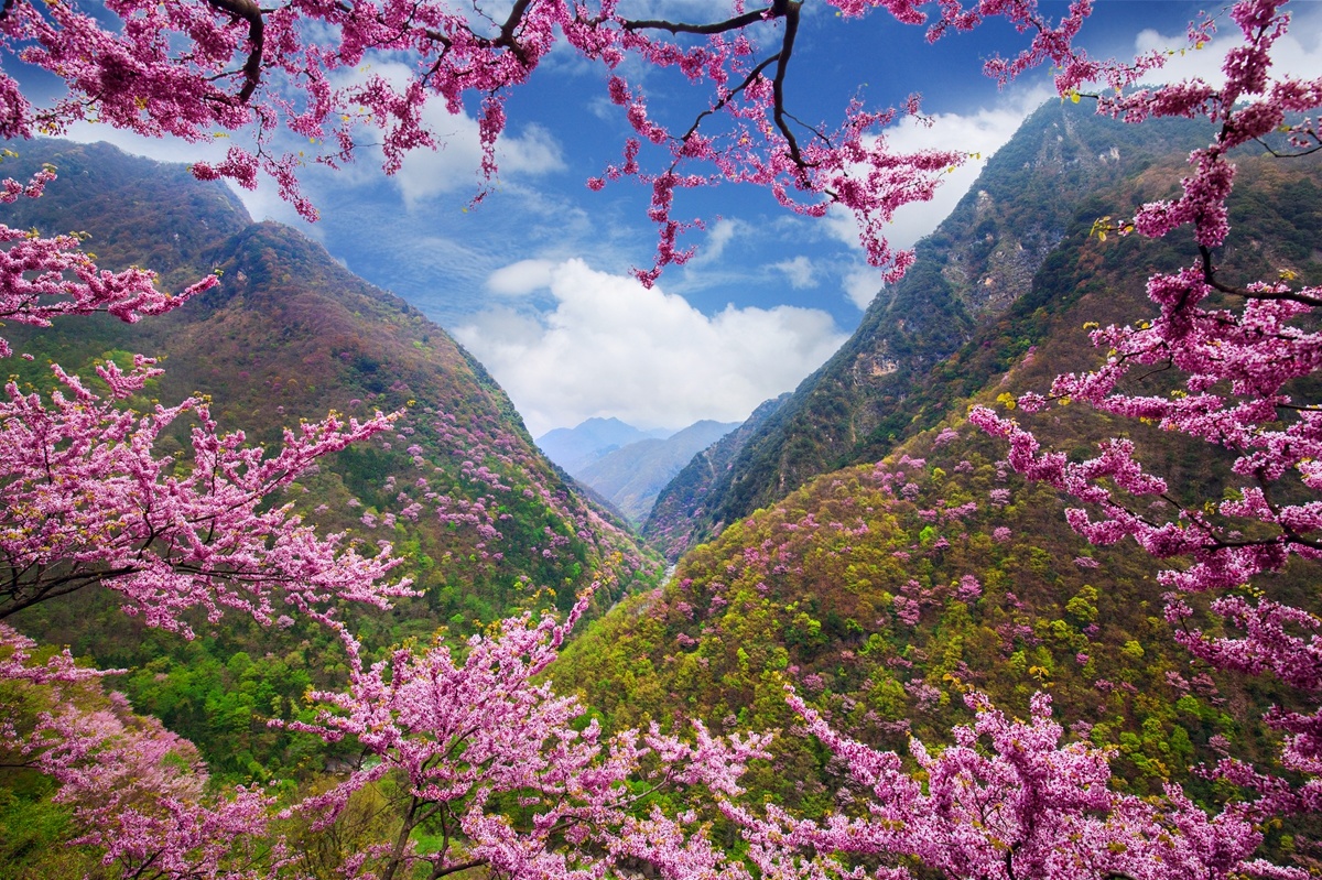 唐家河看变②丨秘境上新相约唐家河最美秋季