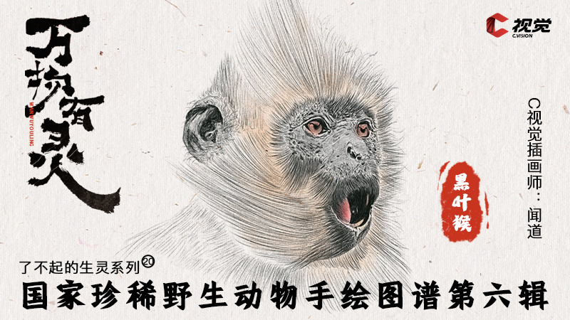 c视觉·了不起的生灵75|国家珍稀野生动物手绘图谱svg海报第六辑