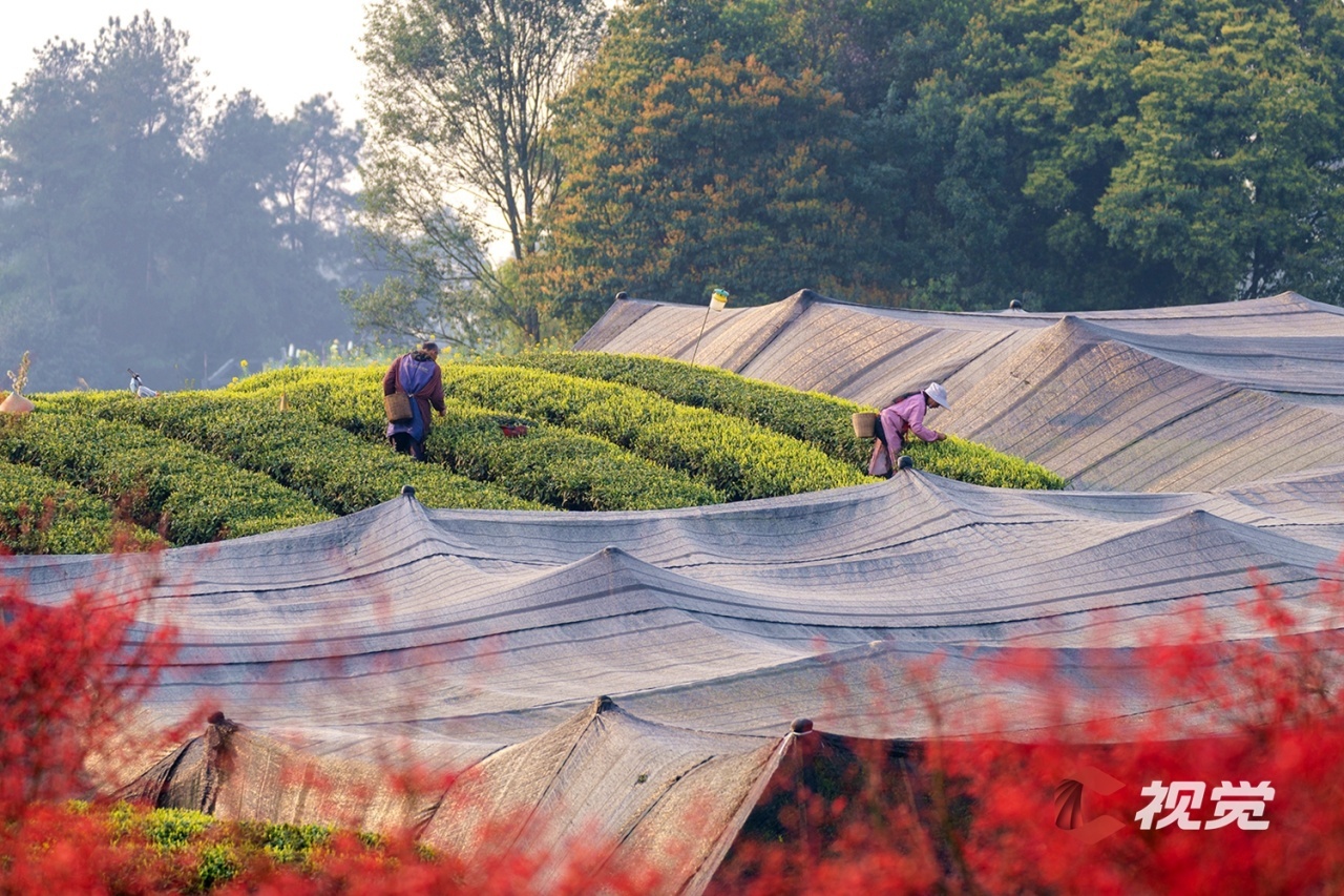 壁纸 风景 1280_853