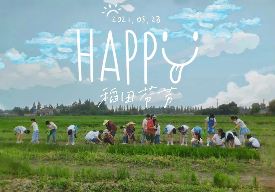 壁纸 草原 桌面 1080_754