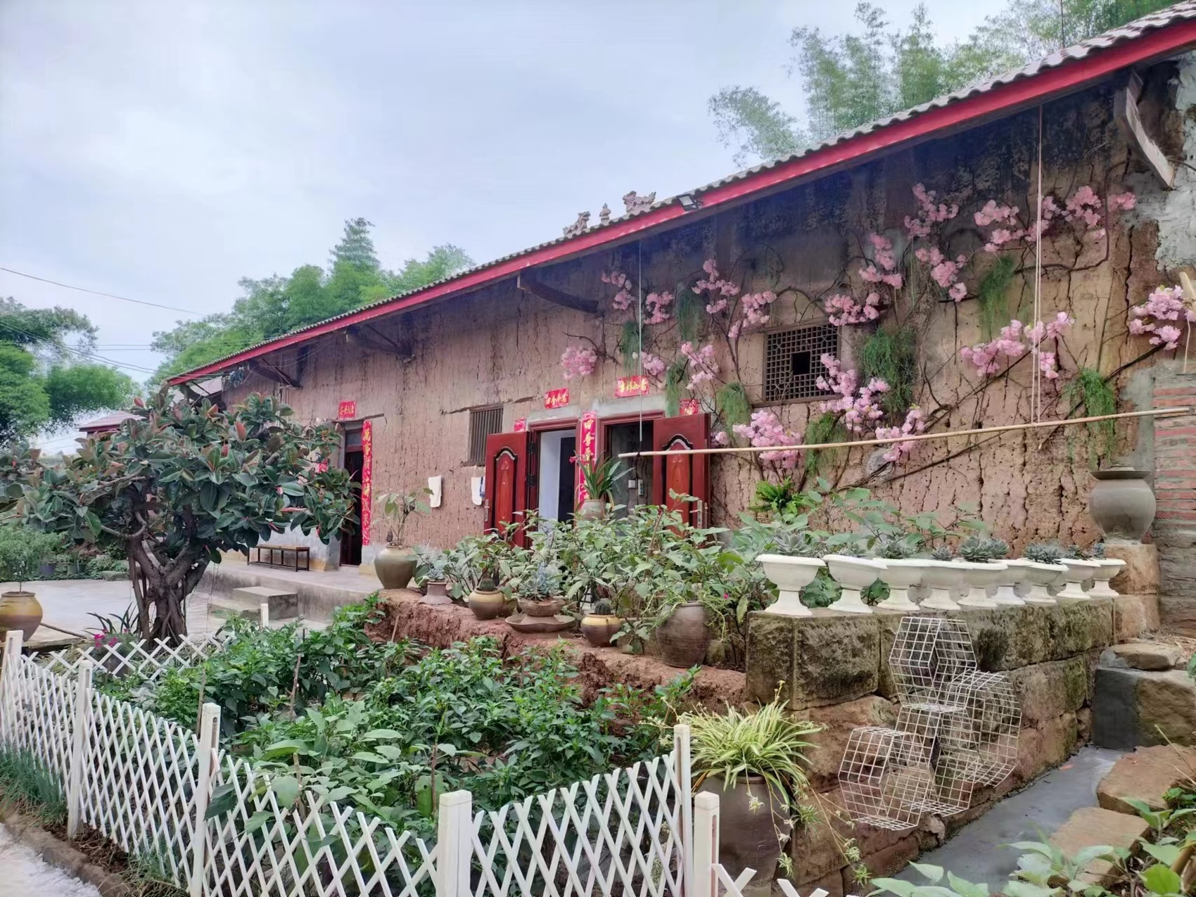 共同绘就美好“院”景 内江寻找“和美庭院”主题活动火热进行中(图2)