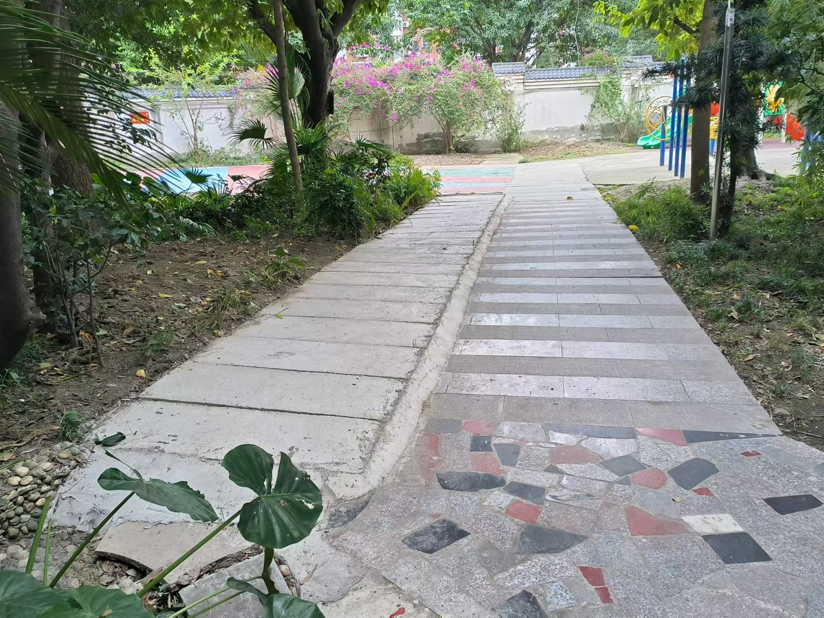 成都市新都区：“问题”小区凤凰联盟app蝶变记 院落焕新来支招(图1)