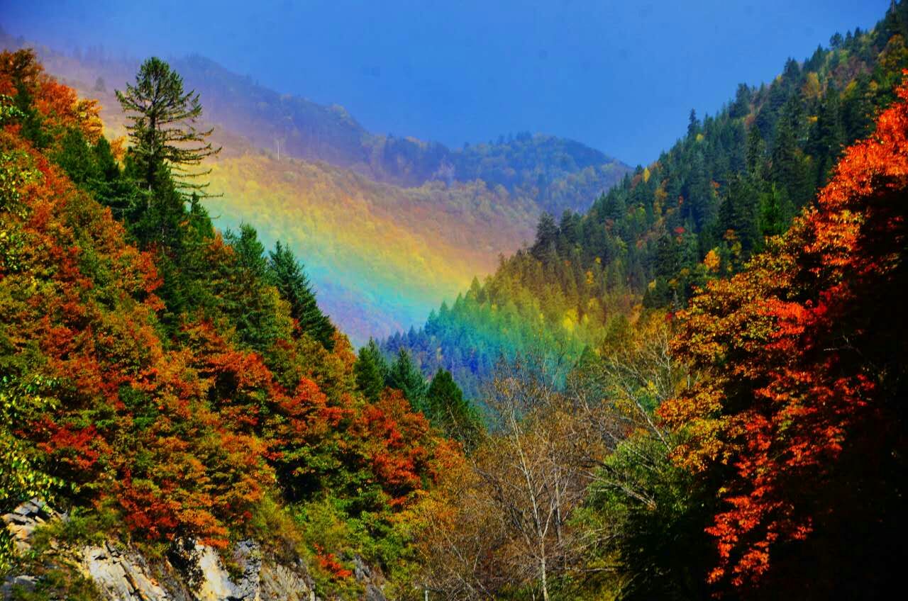 又到漫山红叶时 亚洲最大最艳的彩林邀你去知秋