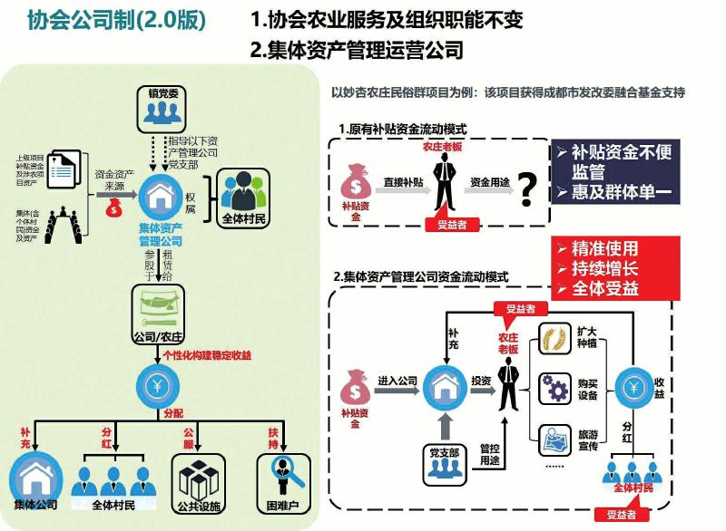 农业产业规划：新时代的田园梦想