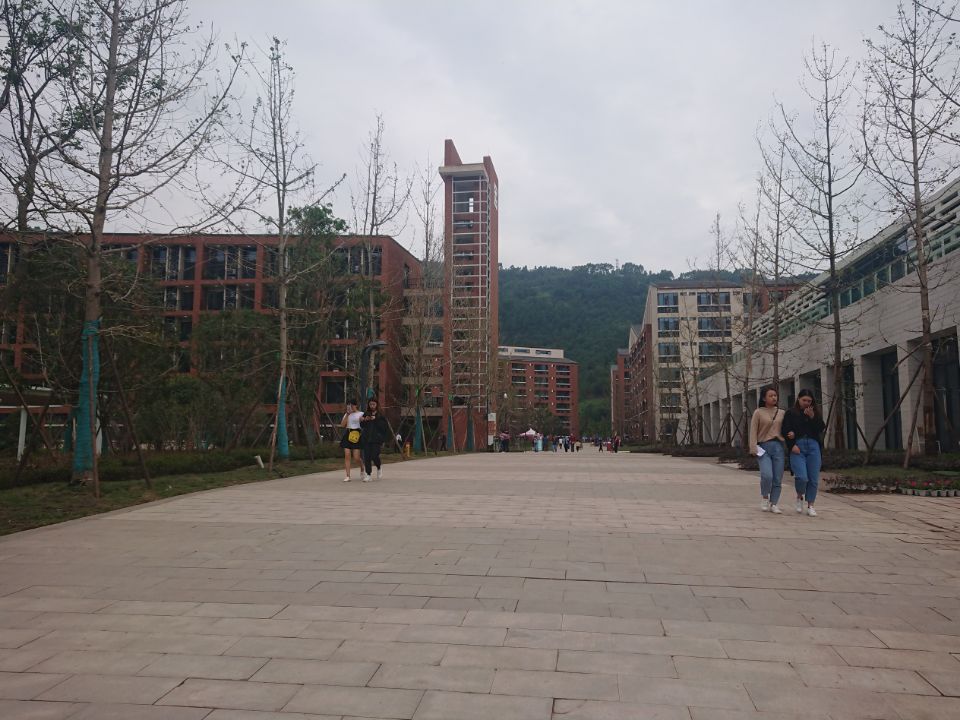 伟德国际川仪股份：董事长田善斌因工作变动辞职