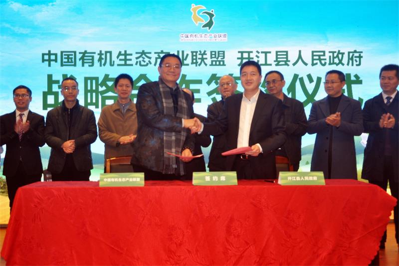 川报观察记者 徐洋