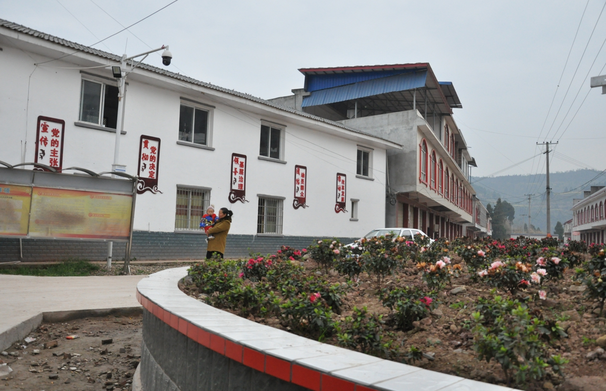 新村飘出甜美的歌三台县菊河镇望君村乡村振兴阔步向前