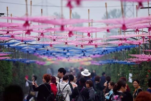 Kaiyun 开云体育乡村旅游再升级 农家乐发源地为乡村振兴注入新内涵