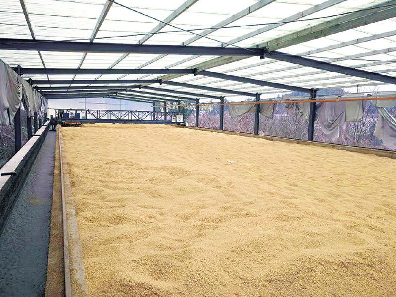 AC米兰官网-认真贯彻实施农业法为“三农”工作提供法制保障