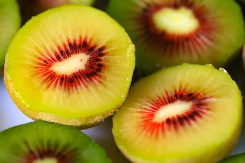 大渡河畔“金果”香，石棉猕猴桃熟了！ - 川观新闻