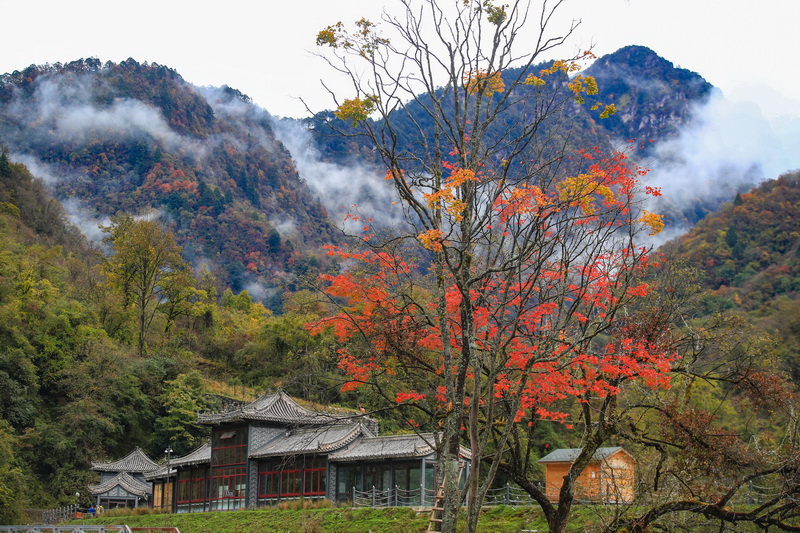 天全二郎山图片