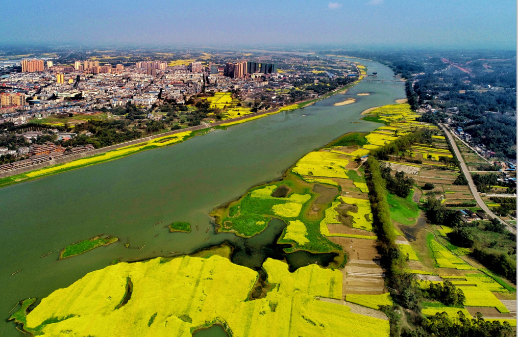 震撼青神的春天太美了每一张图都是大片附小视频