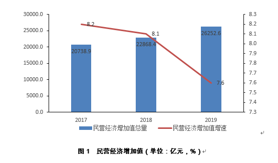 全省民营经济增加值总量_经济全球化