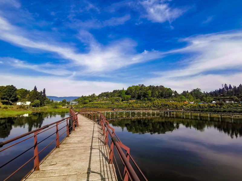 云兜风|名山清漪湖:翠柳依依茶幽香