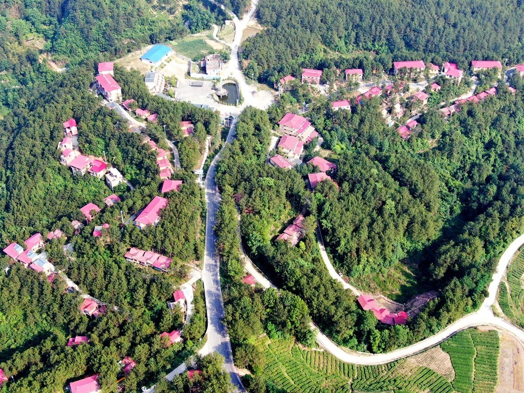 开发,建成广纳大椿医养中心,文峰金子寺生态颐养中心,空山国家森林