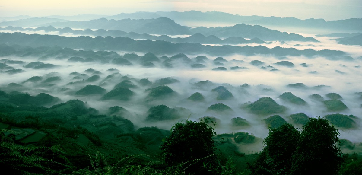长宁竹海自然保护区图片