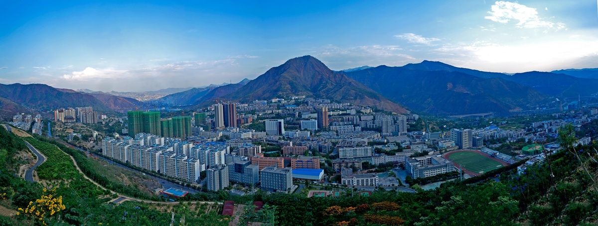 攀枝花市西区上半年实现地区生产总值41.57亿元 - 川观新闻