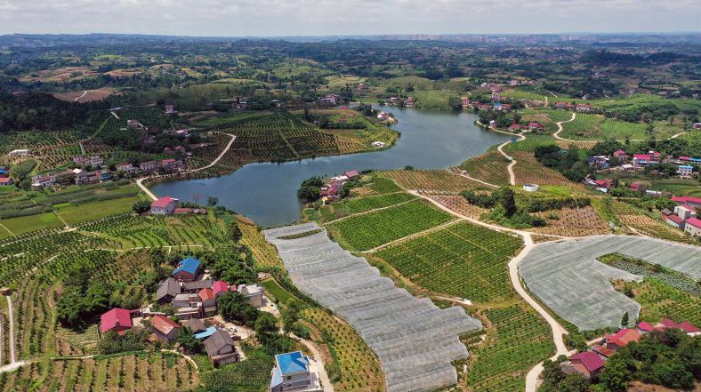 09-08 18:15 内江观察 张啸 川报观察记者 郑志浩 "主导特色产业明确