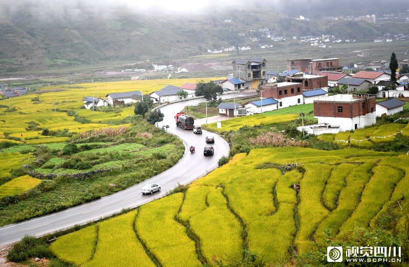 近年来,普格县以田园综合体新理念发展现代农业,积极引进耐寒抗病虫害