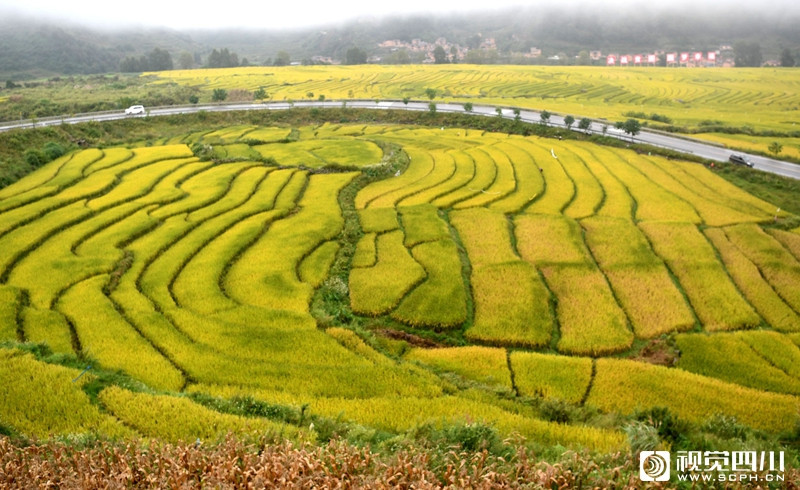 近年来,普格县以田园综合体新理念发展现代农业,积极引进耐寒抗病虫害
