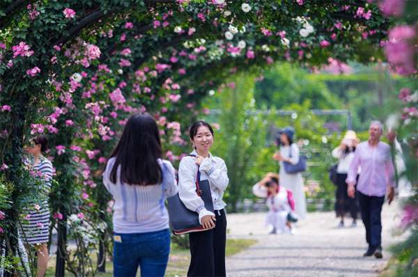 花开世界筑梦蓉城第二届成都国际花木博览会11月日启幕 川观新闻