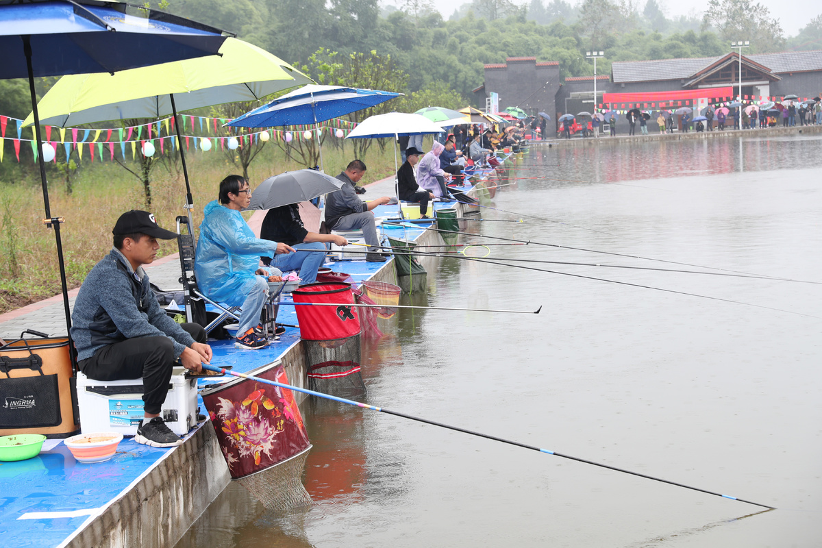 广安贫困村诞生垂钓场钓鱼比赛迎双节