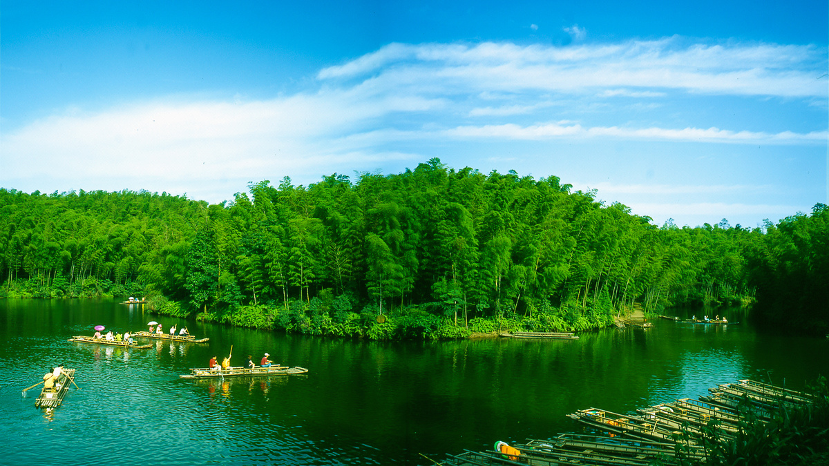 相约双城一起看竹最美竹林风景名单来了