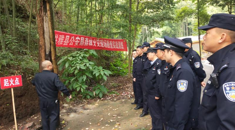 洪雅公安举办森林火灾刑事现场勘查培训及实战演练 川观新闻