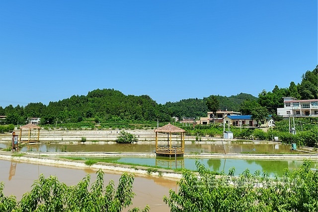 观察林听宇川观新闻记者秦勇 今年以来,自贡沿滩区联络镇通过合村并组