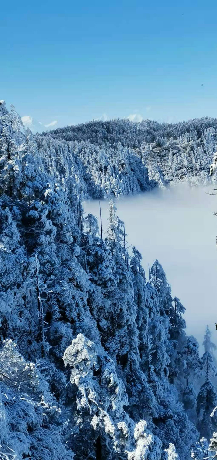 下雪了洪雅瓦屋山景区迎来入冬后第一场雪