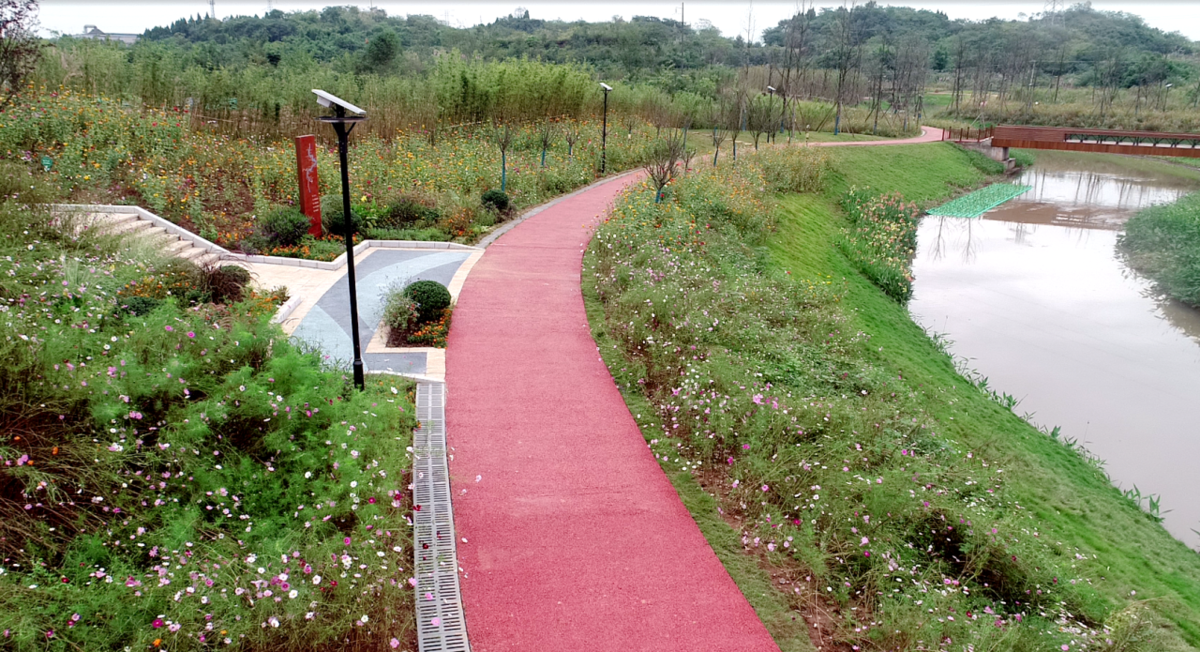 抓实球溪河流域治理奋力建设高品质宜居仁寿