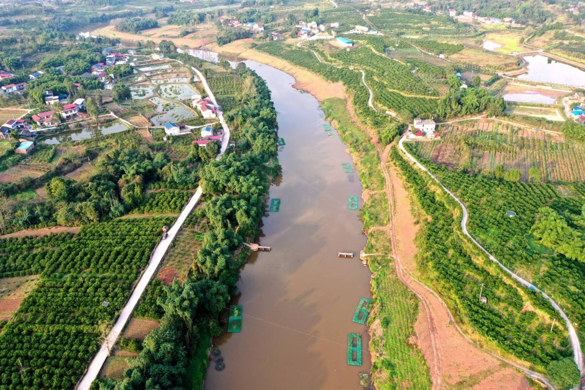 抓实球溪河流域治理奋力建设高品质宜居仁寿