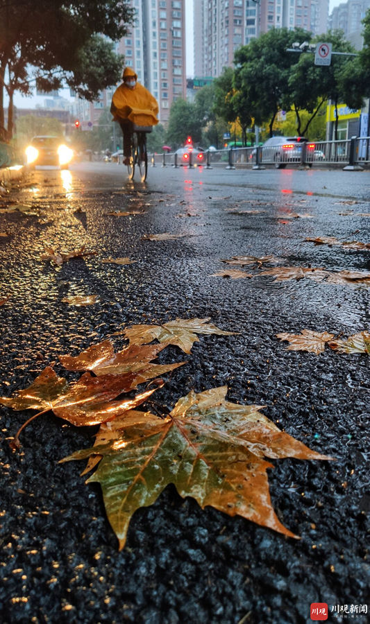 视频|冬天下雨的成都有好冷?出门冷得打摆摆 - 川观新闻