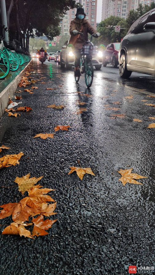 视频|冬天下雨的成都有好冷?出门冷得打摆摆 - 川观新闻
