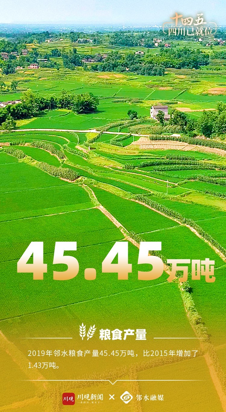 邻水gdp_邻水狗(2)