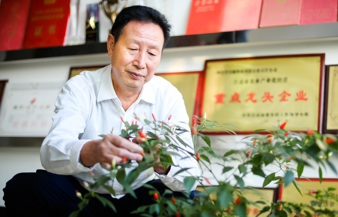 武汉铁路公安局原党委委员,副局长童光明接受审查调查 侯红任郑州