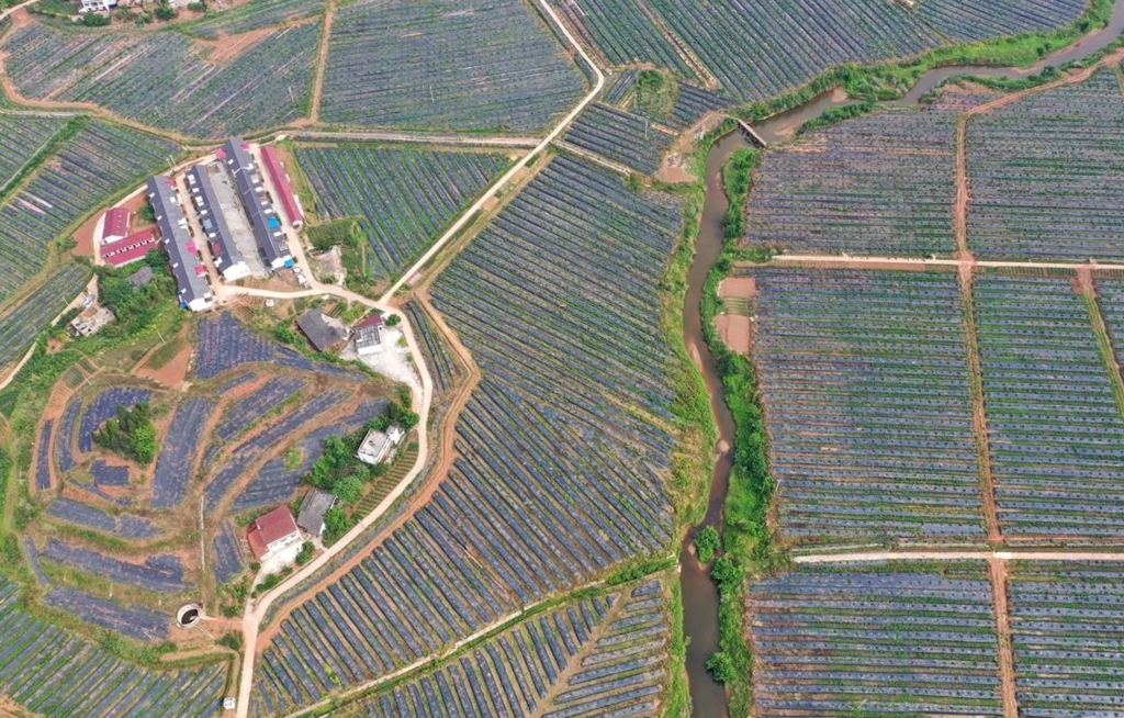 南充市嘉陵区乡镇gdp排名_最新行政区划 南充这些地方要撤乡设镇,看看有你的家乡吗